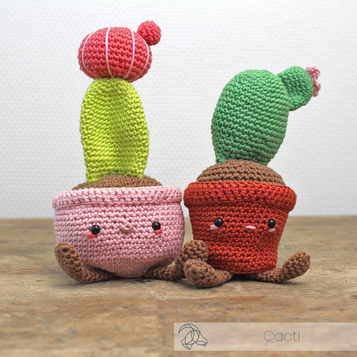 DIY Crochet Kit - Opuntia Cactus