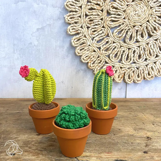 Cacti - Crochet Kit