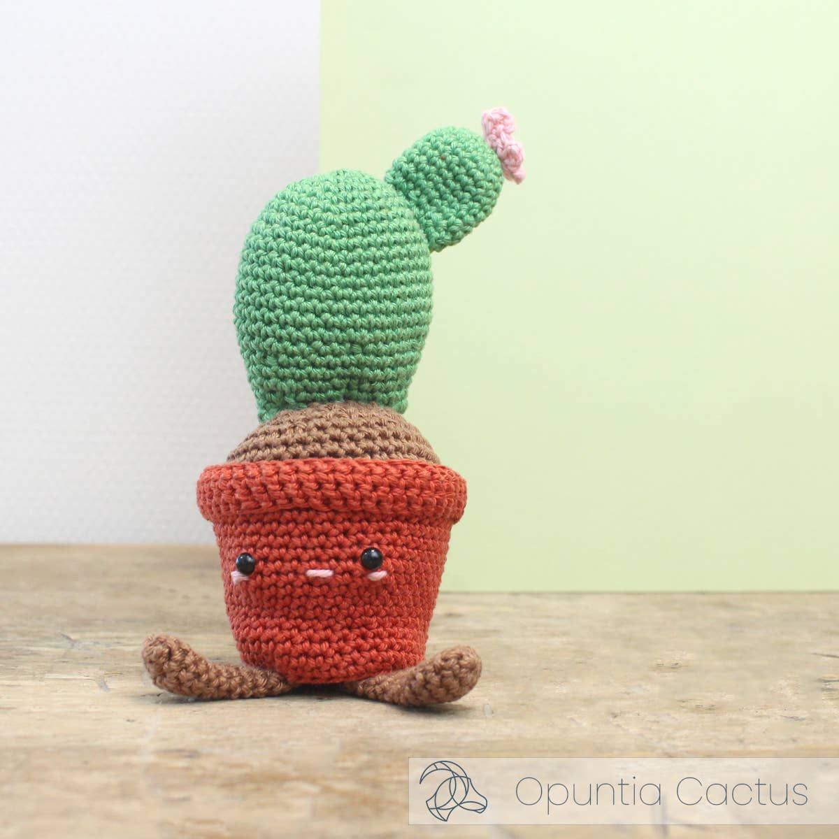 DIY Crochet Kit - Opuntia Cactus